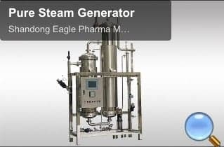 Pure Steam Generator