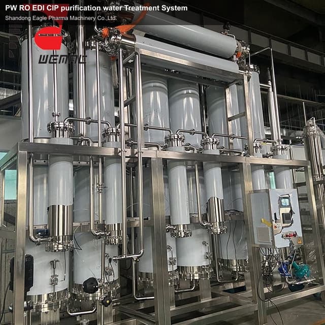PW RO EDI CIP purification water Treatment System