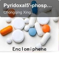 Pyridoxal5'-phosphatemonohydrate