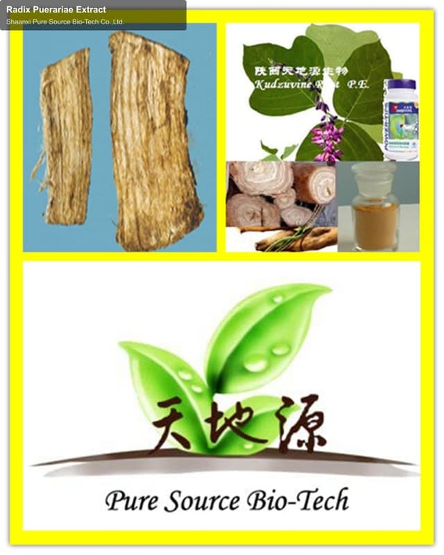 Radix Puerariae Extract