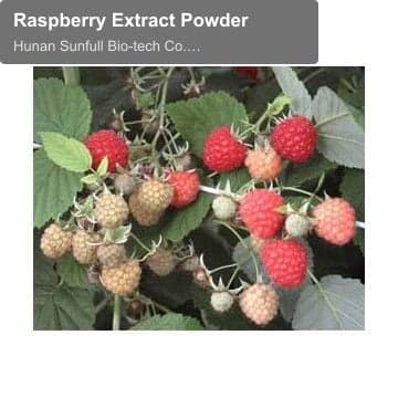 Raspberry Extract Powder