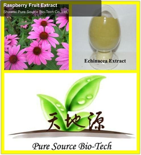 Raspberry Fruit Extract