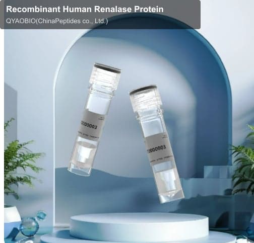 Recombinant Human Renalase Protein