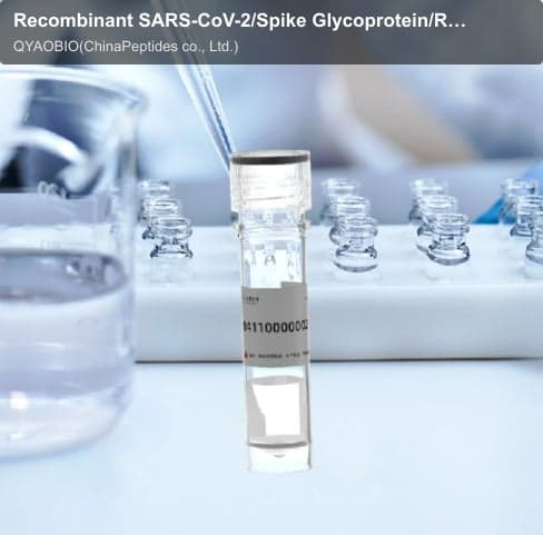 Recombinant SARS-CoV-2/Spike Glycoprotein/RBD Protein, Recombinant Protein