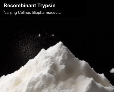 Recombinant Trypsin