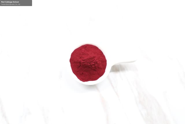 Red Cabbage Extract