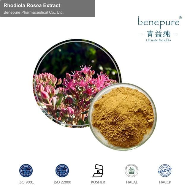 Rhodiola Rosea Extract
