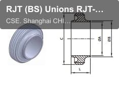 RJT (BS) Unions RJT-15 WELDING MALE