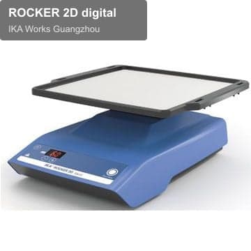 ROCKER 2D digital
