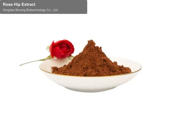 Rose Hip Extract