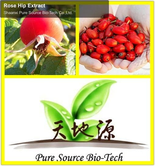 Rose Hip Extract