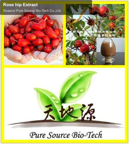 Rose hip Extract