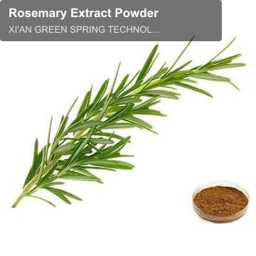 Rosemary Extract Powder