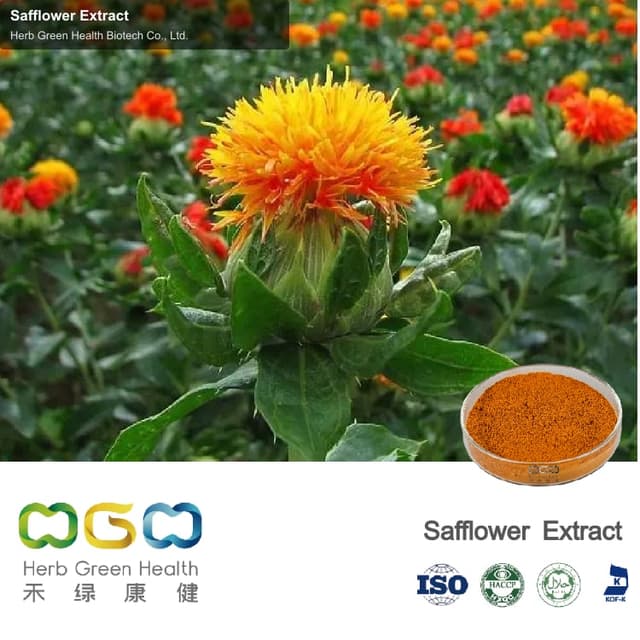 Safflower Extract