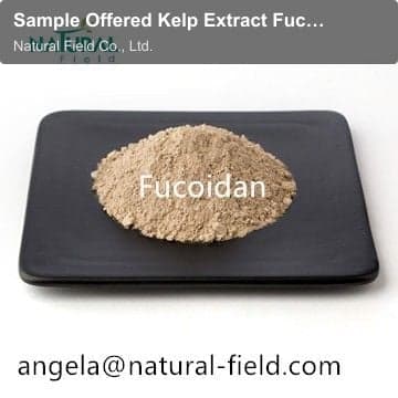 Sample Offered Kelp Extract Fucoidan