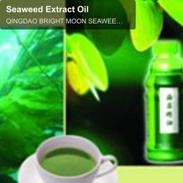 Seaweed Extract Oil
