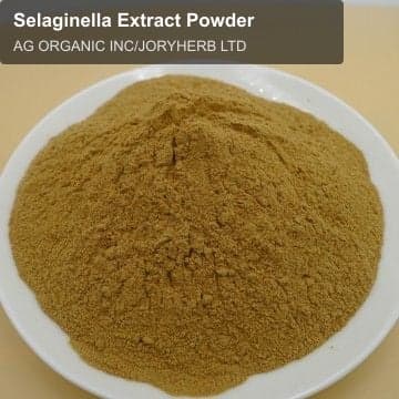 Selaginella Extract Powder