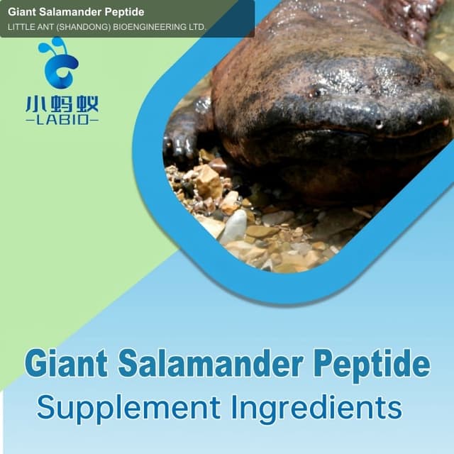 LITTLE ANT (SHANDONG) BIOENGINEERING LTD. sell "Giant Salamander Peptide"