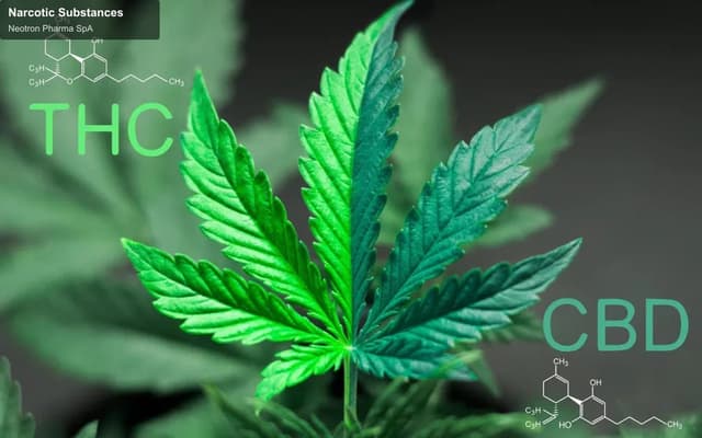 Neotron Pharma SpA sell "Narcotic Substances"