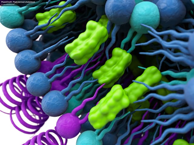 Evonik Industries AG sell "PhytoChol®: Plant-derived cholesterol"