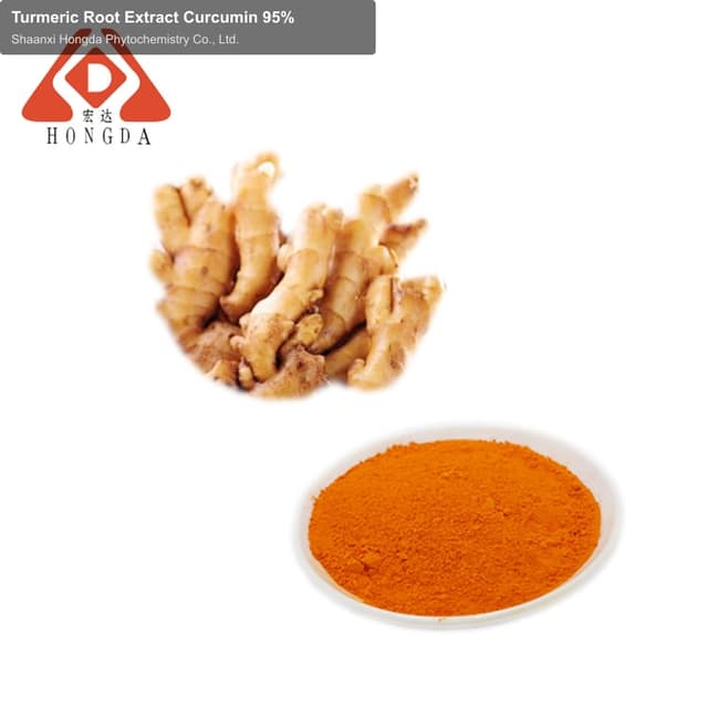 Shaanxi Hongda Phytochemistry Co., Ltd. sell "Turmeric Root Extract Curcumin 95%"