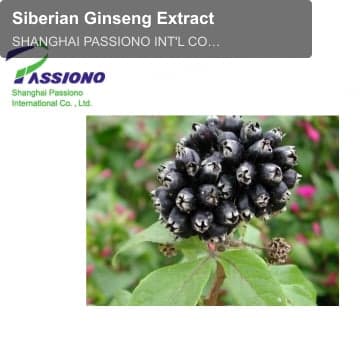 Siberian Ginseng Extract