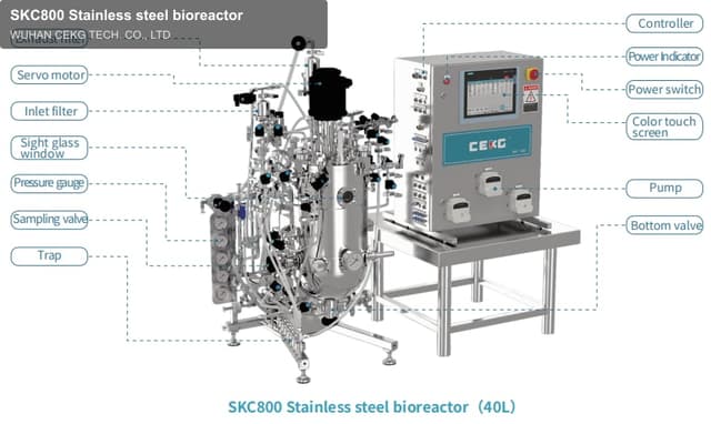 SKC800 Stainless steel bioreactor