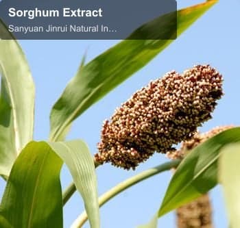 Sorghum Extract
