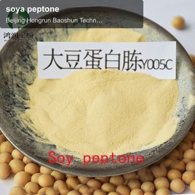 soya peptone