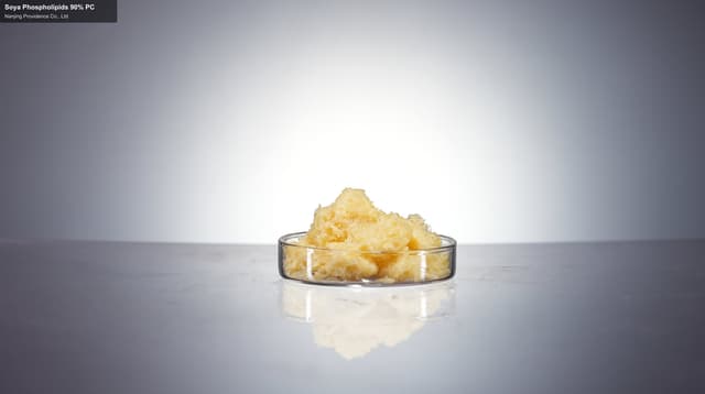 Soya Phospholipids 90% PC