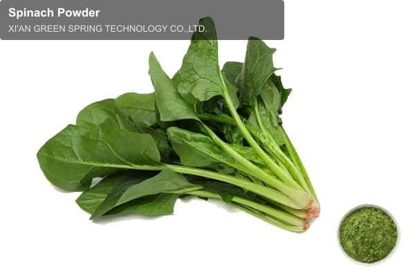 Spinach Powder