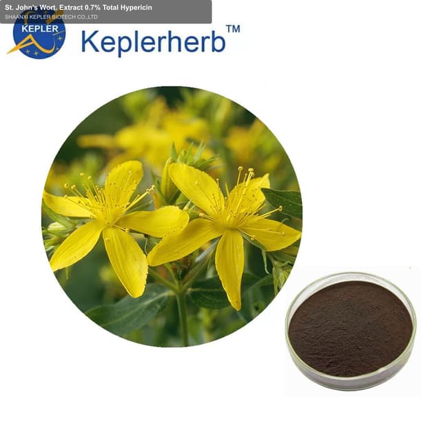 St. John’s Wort. Extract 0.7% Total Hypericin