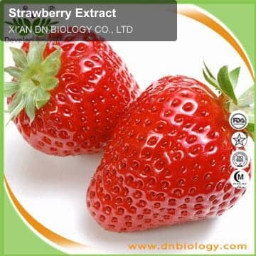 Strawberry Extract