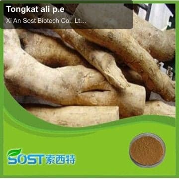 Tongkat ali p.e