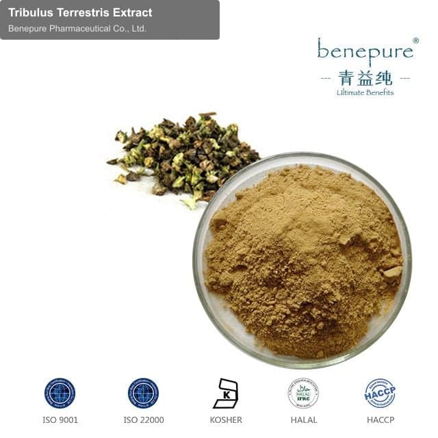 Tribulus Terrestris Extract