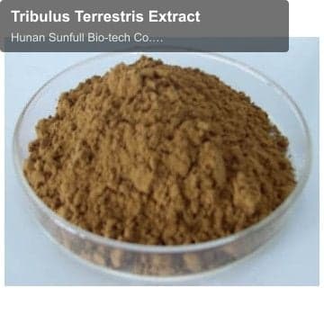 Tribulus Terrestris Extract