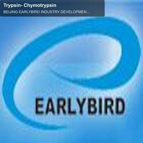 Trypsin- Chymotrypsin