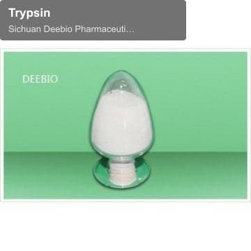 Trypsin