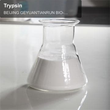 Trypsin