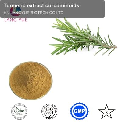 Turmeric extract curcuminoids