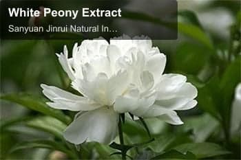 White Peony Extract