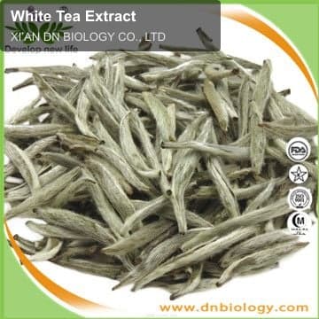 White Tea Extract