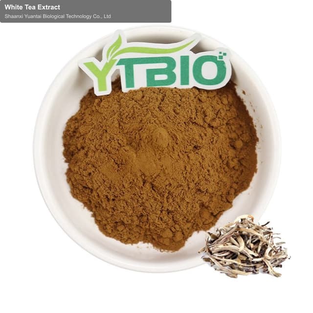 White Tea Extract