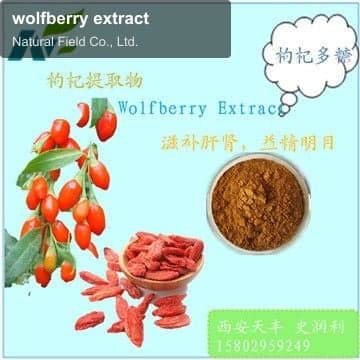 wolfberry extract