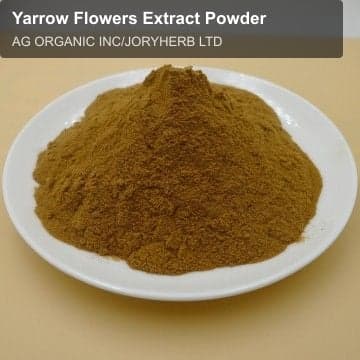 Yarrow Flowers Extract Powder