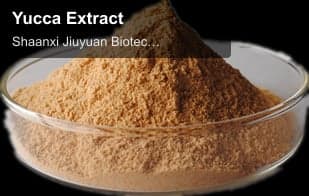 Yucca Extract