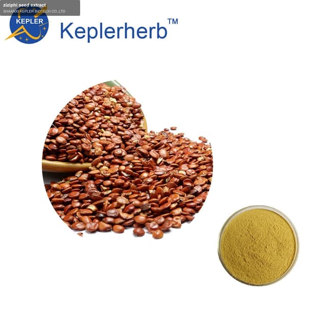 ziziphi seed extract